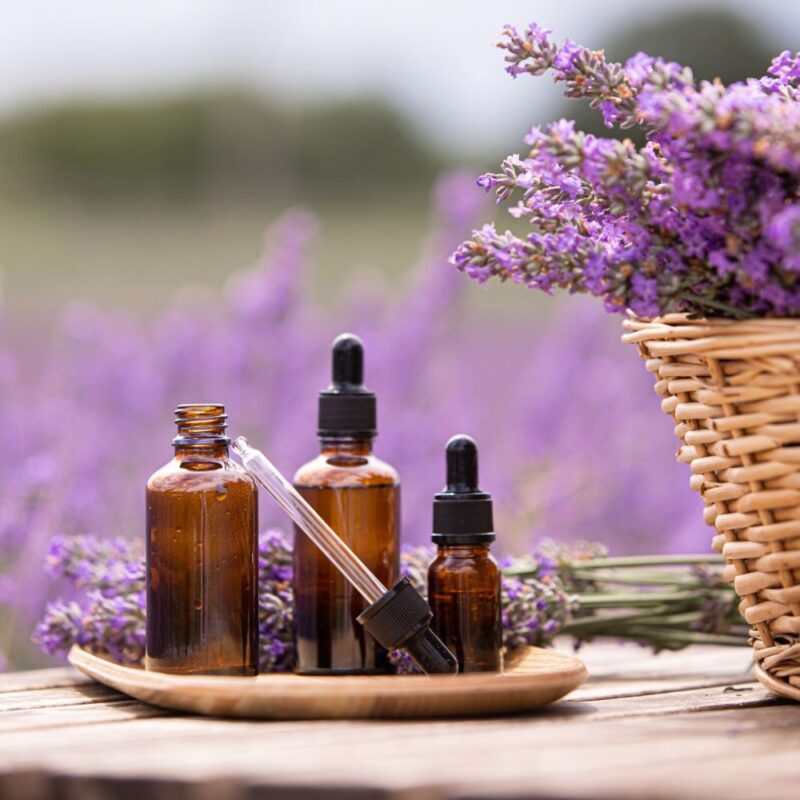 Tinh dầu Lavender