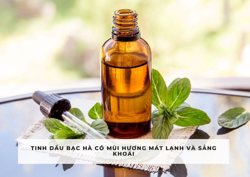 Tinh dầu là những hợp chất lỏng được chiết xuất từ thực vật, có mùi hương đặc trưng và thường được sử dụng trong liệu pháp aromatherapy, làm nến, xà phòng, và mỹ phẩm