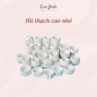 Nhiều mẫu hũ thạch cao nhỏ với kiểu dáng vỏ sò, hoa, và hình học đựng nến thơm tại Can Lãnh
