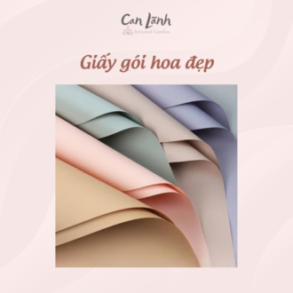 Các mẫu giấy gói hoa cao cấp màu Pastel hồng xanh tím xếp lớp dùng trang trí quà tặng Can Lãnh