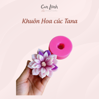 Khuôn Silicone màu hồng tạo hình hoa cúc Tana cùng bông hoa sáp thành phẩm màu tím trắng Can Lãnh