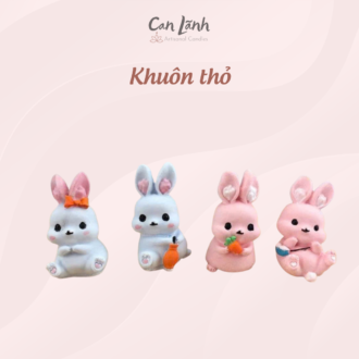 Bốn mẫu thỏ mini màu sắc đáng yêu được tạo ra từ khuôn silicone Can Lãnh
