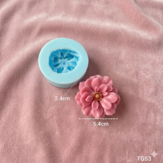 Khuôn hoa mai nhiều cánh